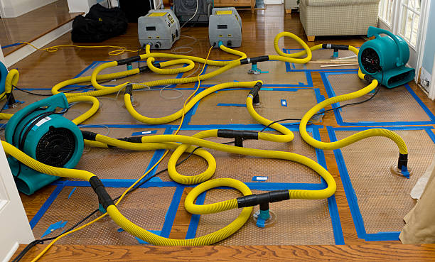 Professional Sewage Cleanup technician working in Maywood, CA